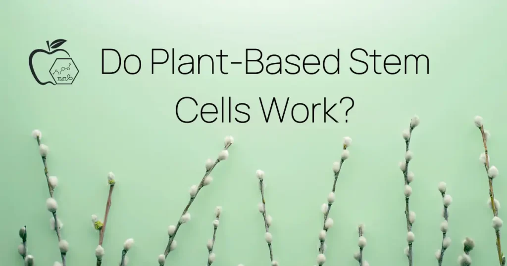 Do Plant-Based Stem Cells Work?