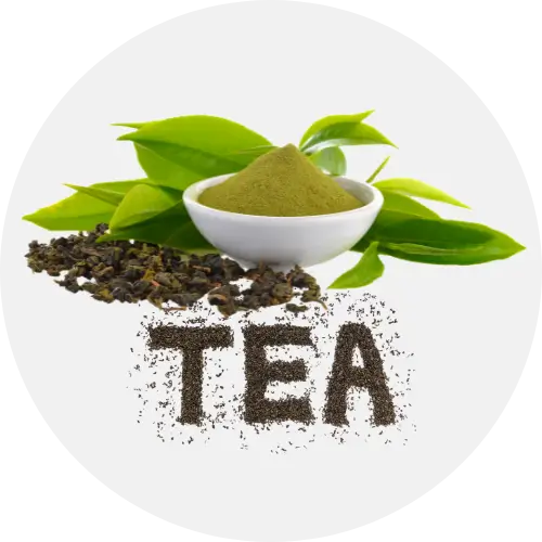 Green Tea Extract