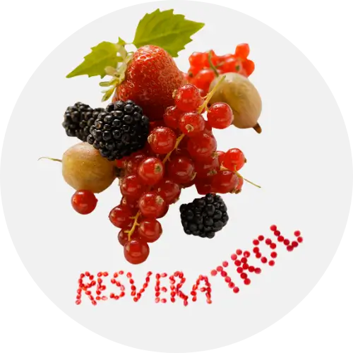 Resveratrol