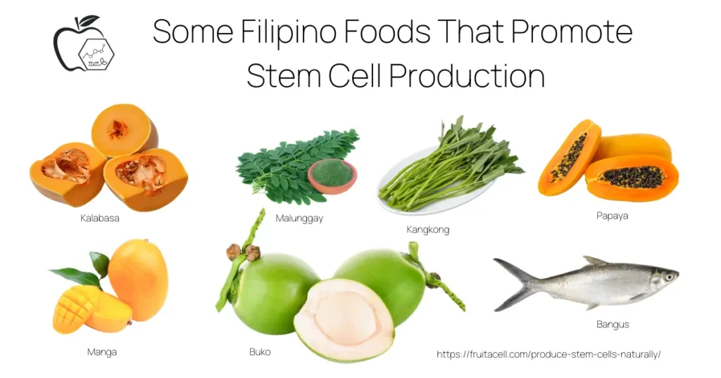 Available Filipino foods to boost stem cell production.